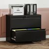 2-Drawer Steel File Cabinet with Lock for Home Office Storage