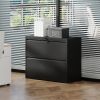 2-Drawer Steel File Cabinet with Lock for Home Office Storage