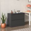 2-Drawer Steel File Cabinet with Lock for Home Office Storage